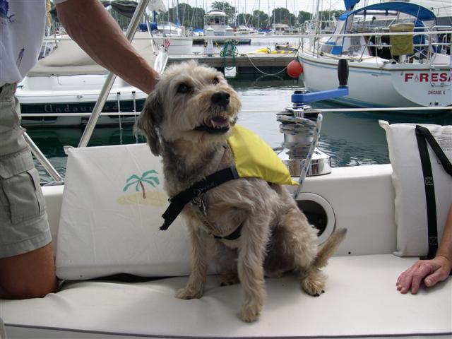 A really sporty life jacket